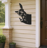 Maxcorners Funny Donkey Metal Sign WITH LED/WITHOUT LED - Hilarious Farm Yard Decor, Gag Gift for Ranch Owners & Outdoor Spaces LM0110