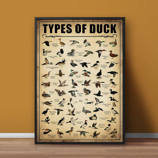 Maxcorners Types of Duck Poster Canvas - Comprehensive Guide for Duck Hunters and Birdwatchers Featuring 30+ Duck Species