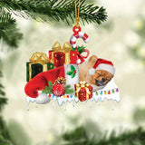 MAXCORNERS POMERANIAN 2 MERRY CHRISTMAS HANGING ORNAMENT